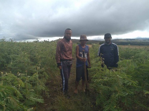 formation lombriculture 2024