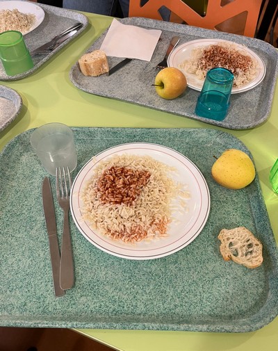 plateau repas bol de riz