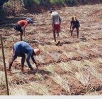 travail agricole au centre métiers ruraux