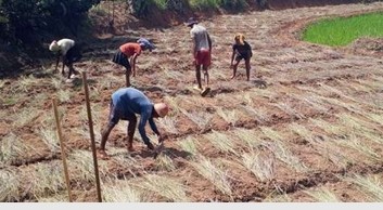 travail agricole au centre métiers ruraux